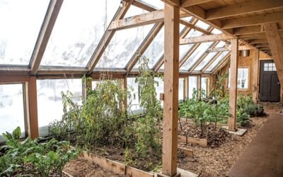 Greenhouse Of The Future | Eco Greenhouse, It All Starts With A Seed